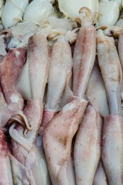 Taze mürekkep balığı taze pazarda, Tayland