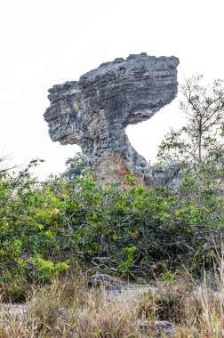 Amazing Shape of Rock at Pa Hin Ngam National Park, Chaiyaphum Province, Thailand clipart