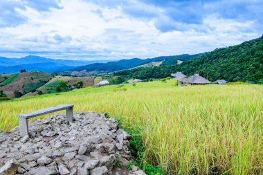 Pa Bong Piang Rice Terraces at Chiang Mai Province, Thailand.