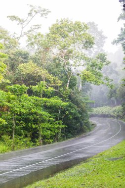 Tayland milli parkında buharlı yol