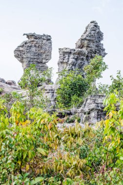 Pa Hin Ngam Ulusal Parkı, Chaiyaphum Eyaleti, Tayland
