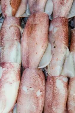 Taze mürekkep balığı taze pazarda, Tayland