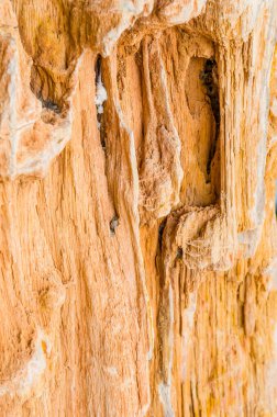 Turuncu kayanın arka planı, Tayland