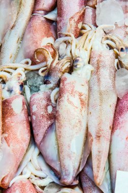 Taze mürekkep balığı taze pazarda, Tayland