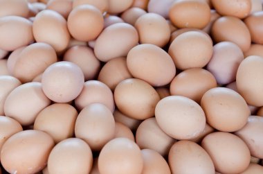 Taze yumurta grubu, Tayland.