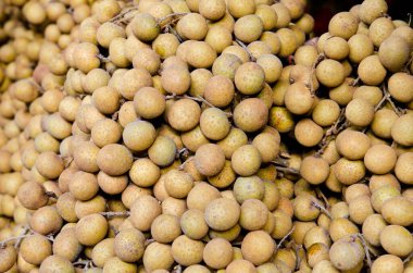 Taze Longan grubu, Tayland.