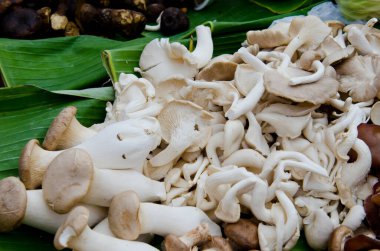 Markette taze mantarlar, Tayland.