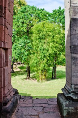 Phimai Tarih Parkının kapı çerçevesi ve ağacı, Tayland.