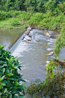 Ormanda küçük bir baraj, Tayland.