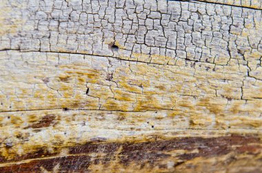 Tahtanın güzel dokusu, Tayland.