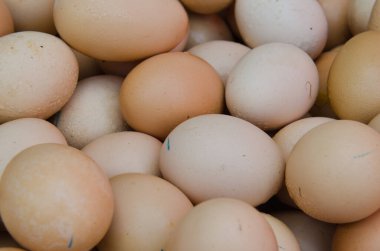 Taze yumurta grubu, Tayland.