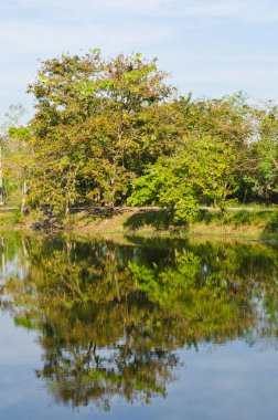 Tayland 'ın Sakaeo ilindeki Sakaeo gölünün manzarası.