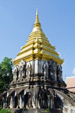 Kutsal fil, Tayland 'daki Chiang Mun Tapınağı' nın etrafını sardı..