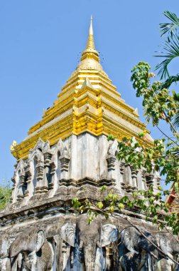 Kutsal fil, Tayland 'daki Chiang Mun Tapınağı' nın etrafını sardı..