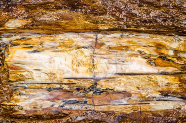 Kahverengi kayanın arka planı, Tayland