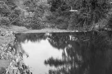 Tayland Ulusal Parkı manzarası