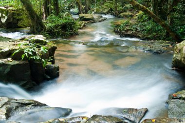 Şelale Pang Si-Da Milli Parkı, Sakaeo ili, Thiland