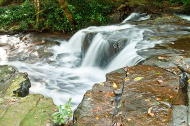 Şelale Pang Si-Da Milli Parkı, Sakaeo ili, Thiland