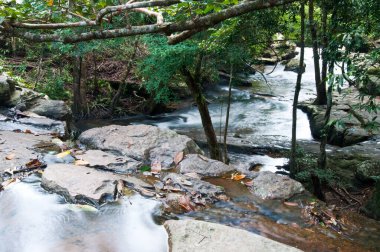 Şelale Pang Si-Da Milli Parkı, Sakaeo ili, Thiland