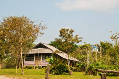 Tayland 'daki Tablan Milli Parkı' nda dağdaki ev.