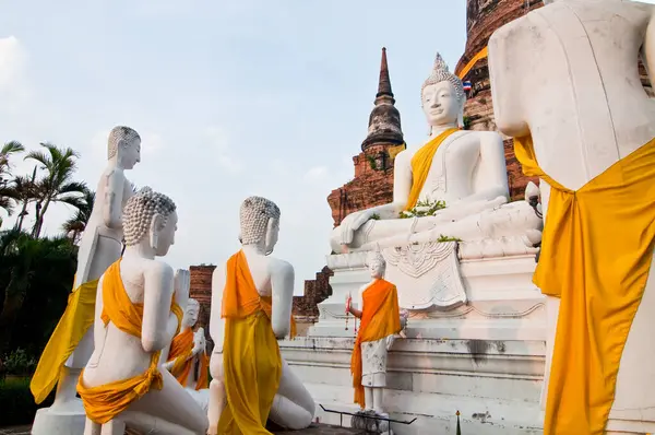 Tayland 'ın Ayutthaya ilinde bir grup beyaz Buda heykeli.