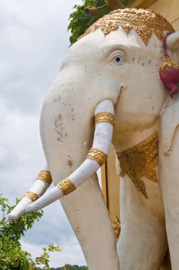 Duvardaki beyaz fil heykeli, Tayland.