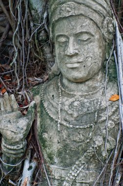 Kökünde oyulmuş resim, Tayland.