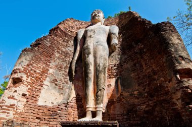 Ayakta duran Buda heykeli Wat Phra Si Ariyabot tapınağı, Tayland.