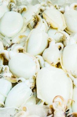 Taze mürekkep balığı taze pazarda, Tayland