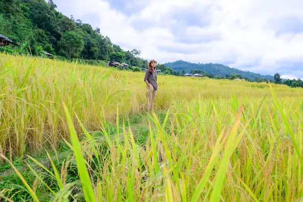 Asian Woman with Pa Bong Piang Rice Terraces at Chiang Mai Province, Thailand.