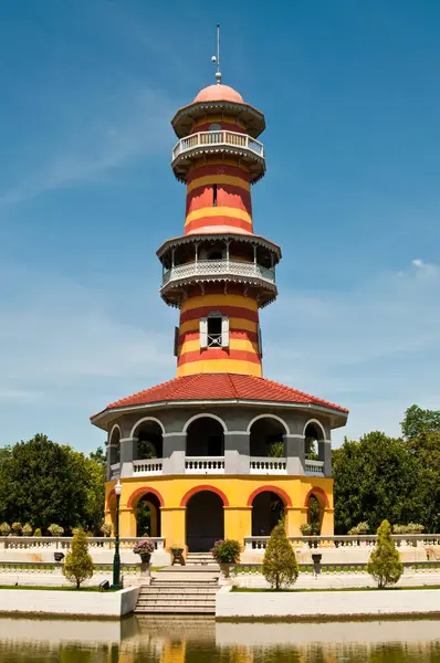 Ağaçta Sala Langka çiçeği