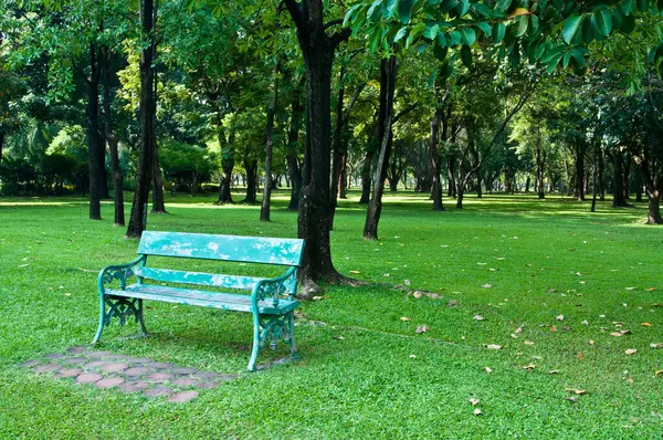 Tayland 'ın güzel parkında banklar ve ağaçlar.