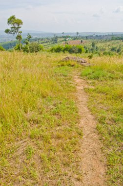 Mor Hin Khao taş parkının manzarası, Tayland Style Stone Henge, Tayland.