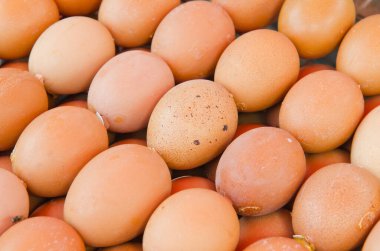 Tayland, ızgara yumurta sıraları..