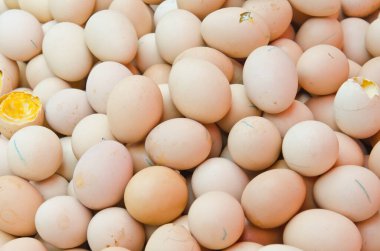 Taze yumurta grubu, Tayland.