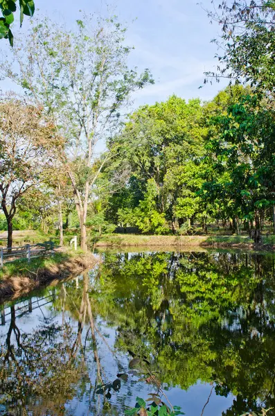 Tayland 'ın Sakaeo ilindeki Sakaeo gölünün manzarası.