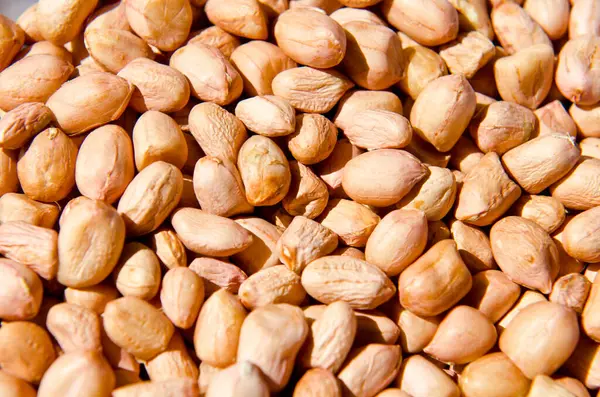 Fıstık yakın, Tayland.