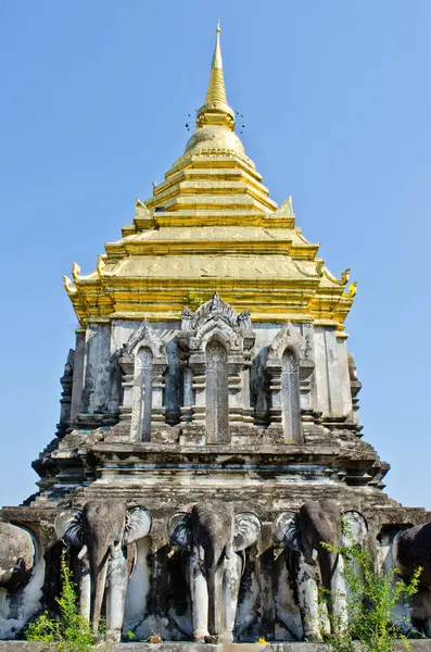 Kutsal fil, Tayland 'daki Chiang Mun Tapınağı' nın etrafını sardı..