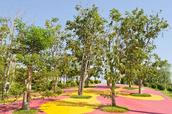 Tayland 'ın Chiangmai ilindeki kamu parkının manzarası.