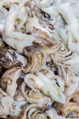 Taze mürekkep balığı taze pazarda, Tayland