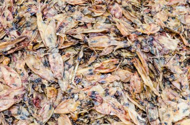 Tayland 'da taze pazarda kurutulmuş mürekkep balığı.
