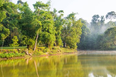 Manzara Khao Yai Milli Parkı, Tayland