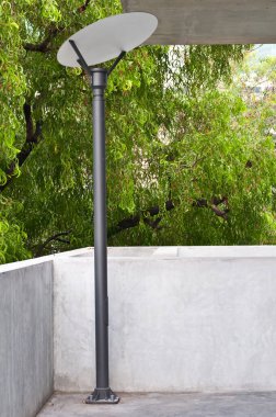 Tayland 'da yürüyüş yolunda bir elektrik direği var..