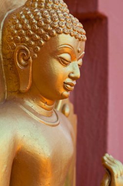 Altın Budh 'ın Yüzü, Tayland.