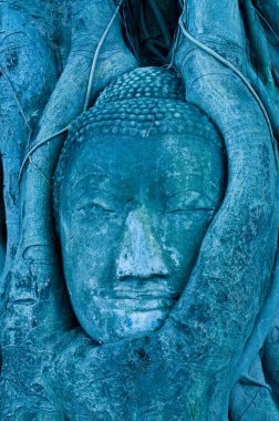 Budha 'nın kökeni, Ayuthaya vilayeti, Tayland.