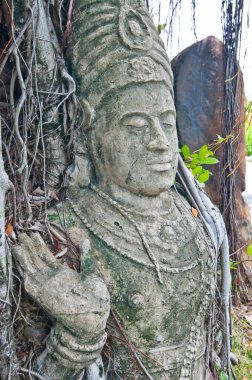 Kökünde oyulmuş resim, Tayland.