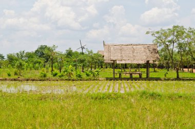 Tayland kırsalının manzarası.