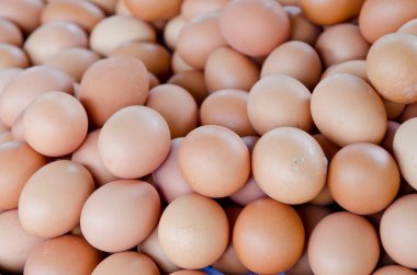 Taze yumurta grubu, Tayland.