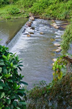 Ormanda küçük bir baraj, Tayland.