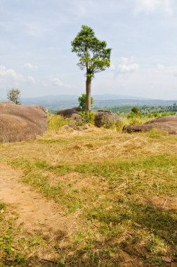 Mor Hin Khao parkının manzarası, Tayland.